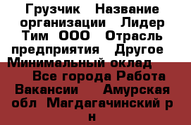 Грузчик › Название организации ­ Лидер Тим, ООО › Отрасль предприятия ­ Другое › Минимальный оклад ­ 6 000 - Все города Работа » Вакансии   . Амурская обл.,Магдагачинский р-н